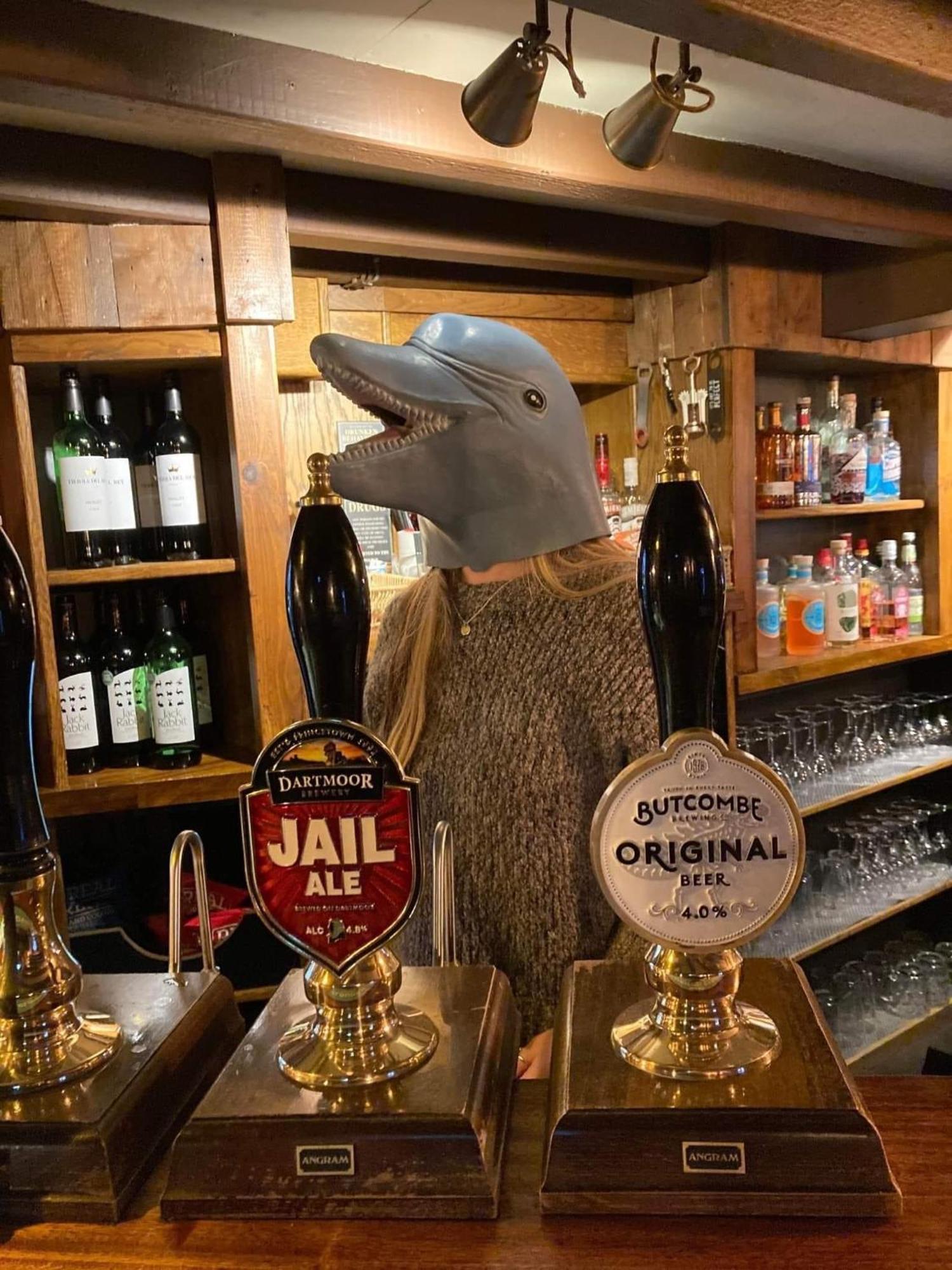 The Dolphin Inn Kingsbridge (Devon) Quarto foto